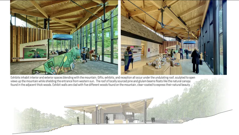 Interior exhibition space with timber ceiling and glulam beams opening to the wooded hillside
