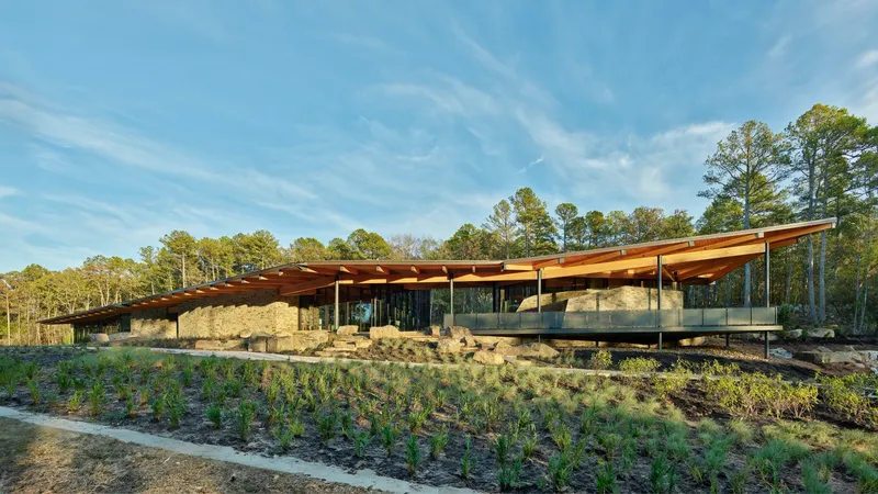 Long view of the folded roof structure rising above stone walls and native plantings in afternoon light