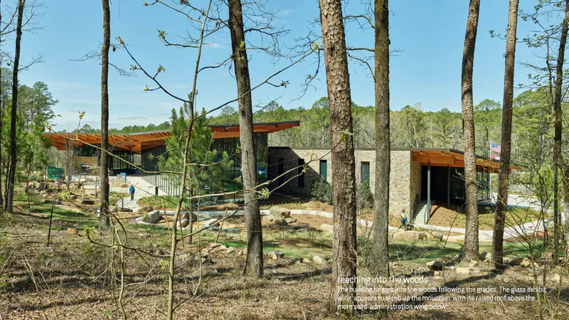Stone-clad pavilion with timber roof canopy seen through tall pines in a cleared forest setting