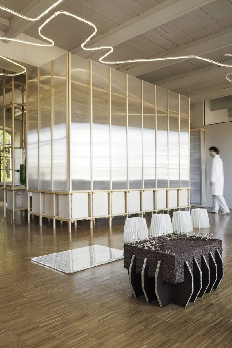 Freestanding translucent screen wall with timber frame and organic curved neon lighting overhead