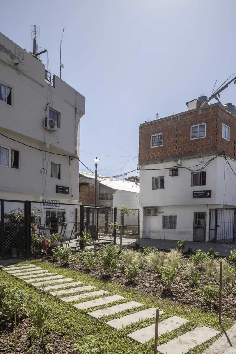 Garden pathway with concrete pavers through planted beds between chainlink fence and adjacent residential buildings