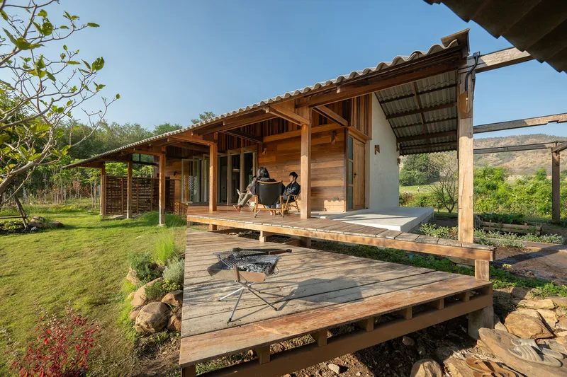 Timber deck terrace with raised pavilion and exposed roof structure overlooking planted beds