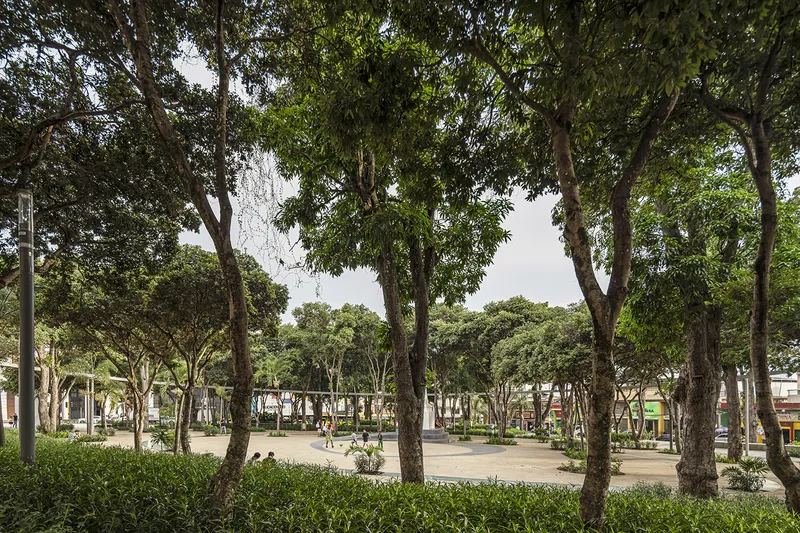 Ground-level view through the tree trunks showing low hedges and people walking across the paved plaza