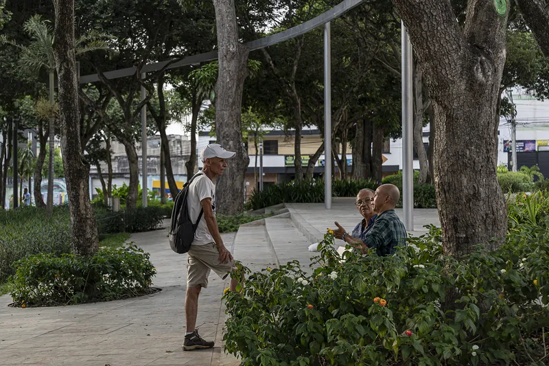 Planted beds and metal canopy structure among mature trees with visitors conversing in daytime