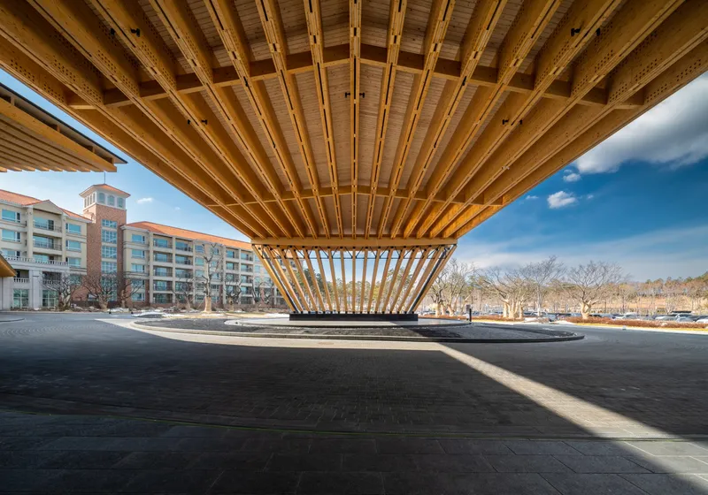 Underside view of the tapered timber canopy structure with exposed joists and residential buildings beyond