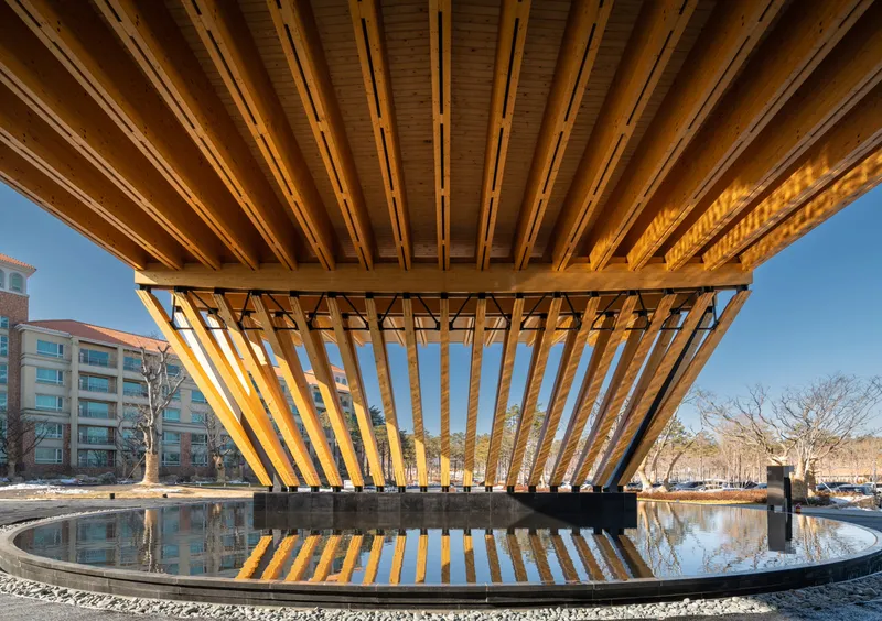 Underside of the timber canopy with exposed beams and slats reflected in a shallow water pool
