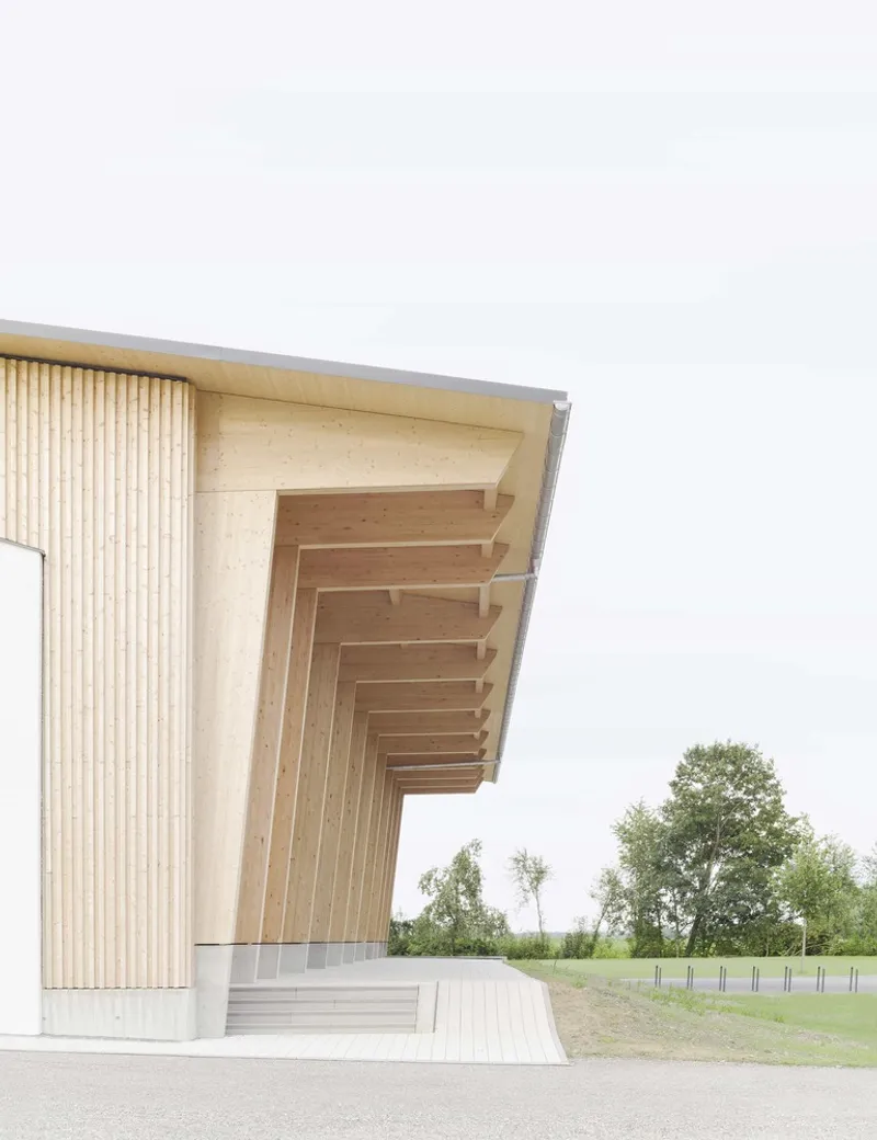 Timber-lined soffit with exposed rafters projecting over vertical slat cladding and concrete steps