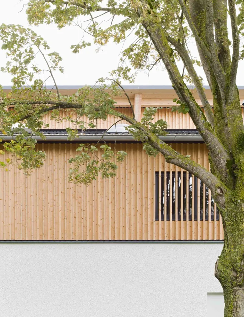 Vertical timber cladding facade with slatted opening beneath moss-covered tree branches