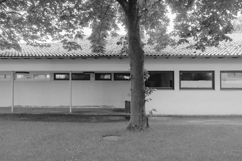 White rendered facade with horizontal ribbon windows beneath tiled roof, mature tree trunk in foreground on lawn