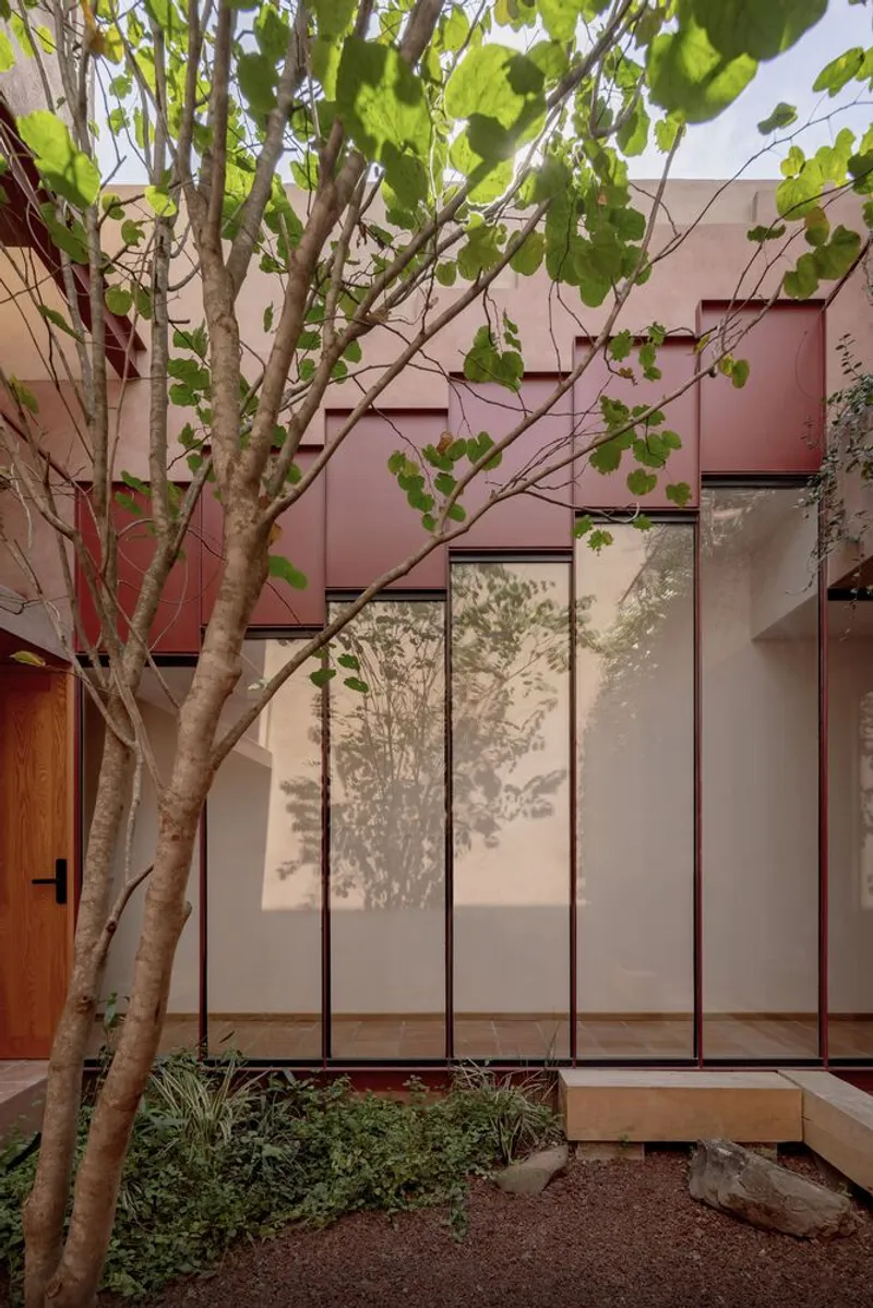 Courtyard with a slender tree casting shadows on glazed panels framed in dark red metal