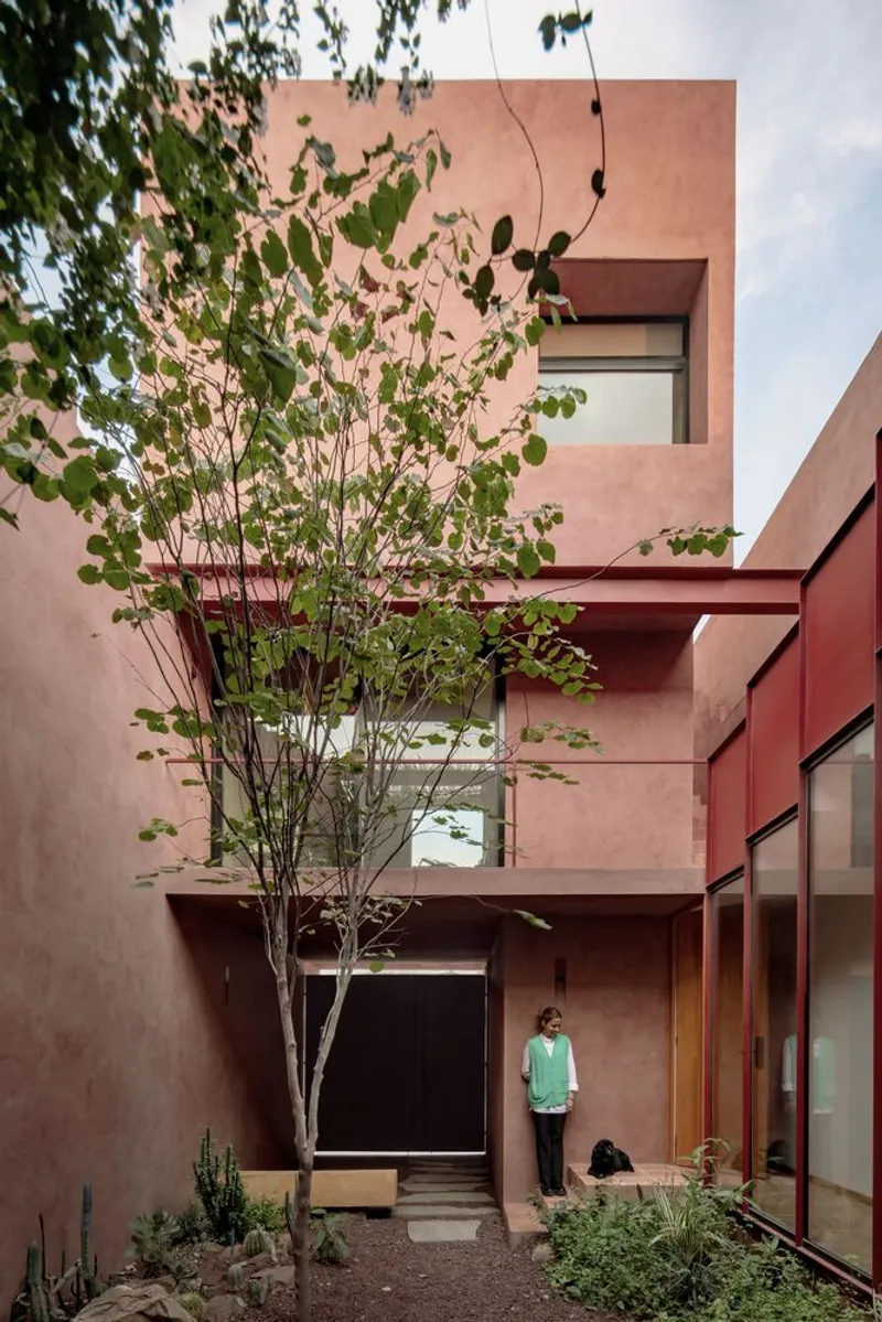 Pink stucco courtyard facade with a multi-stemmed tree and a figure standing below