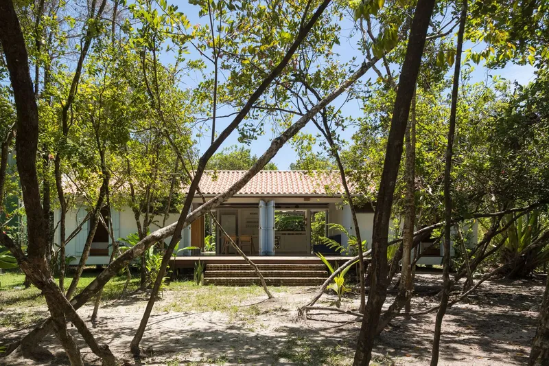 View through slender tree trunks to the elevated structure with shutters and tile roof in dappled sunlight