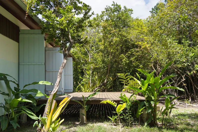 Timber deck extending from pale blue vertical wood siding into a garden with banana plants and trees