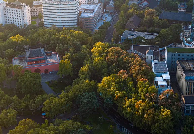 Drone view showing rooftop solar panels and tree canopy amid surrounding residential buildings