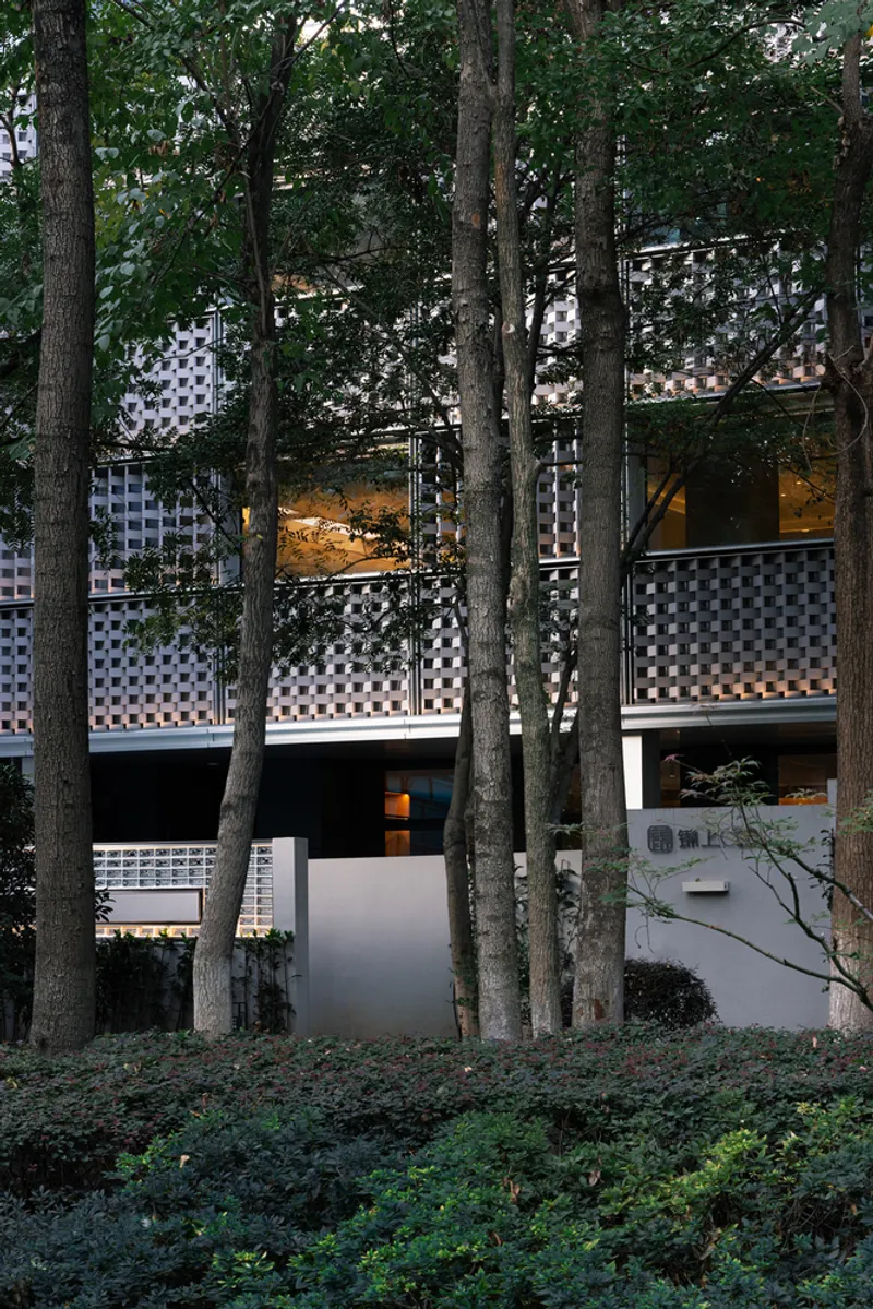 Checkered facade screen wrapping the building volume seen through slender tree trunks at dusk