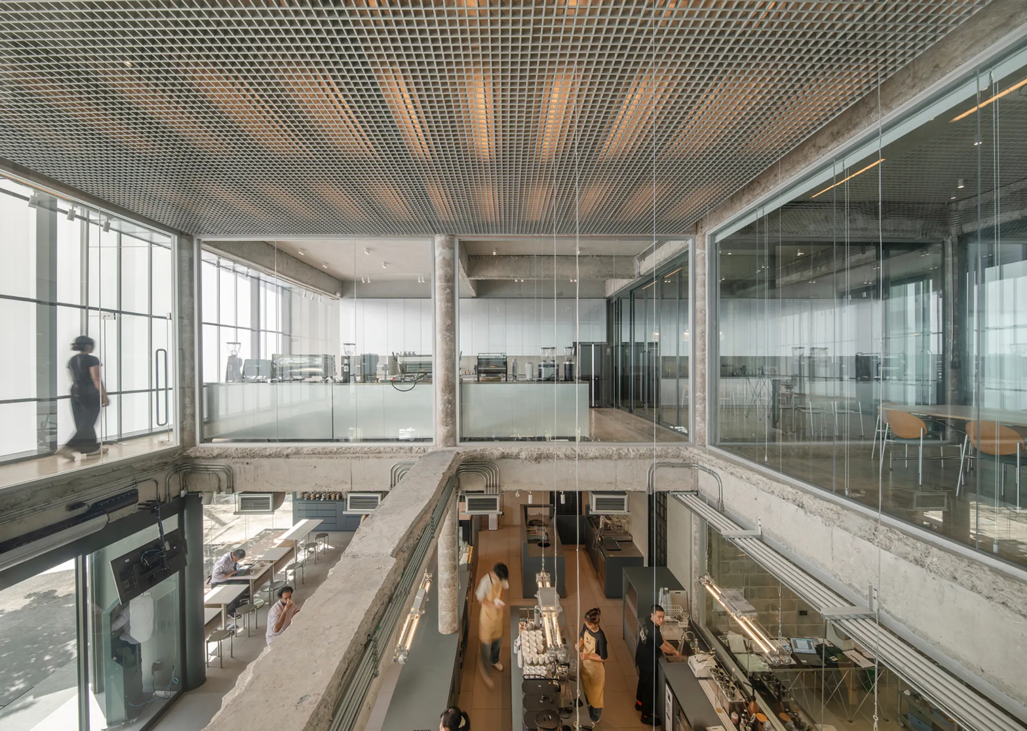 TasteSpace Cracks Open a Bangkok Concrete Box to Build Factory Coffee's Translucent HQ