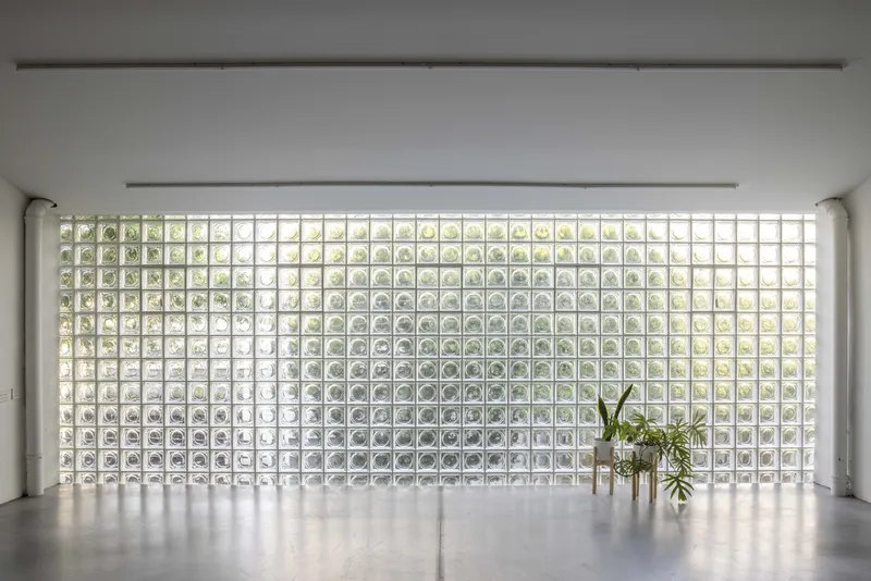 Interior room with floor-to-ceiling glass block wall diffusing daylight beside a single potted plant