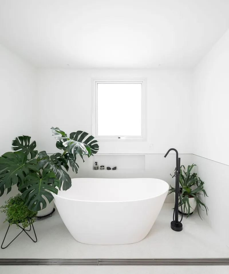 Freestanding white bathtub centered beneath a square window flanked by potted monstera plants