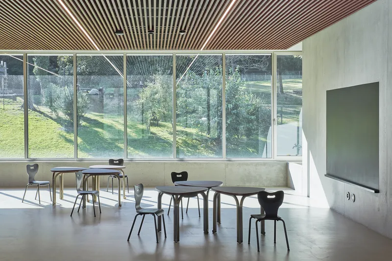 Classroom interior with timber slatted ceiling, full-height glazing overlooking a grassy slope and scattered trees