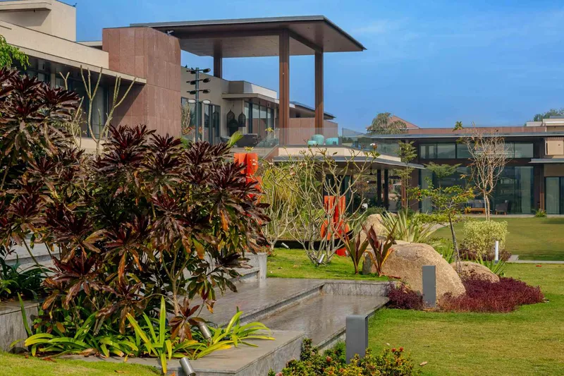 Terraced planted beds with colorful foliage leading toward timber-clad volumes under a blue sky