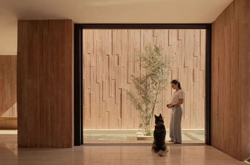 Interior view through large glazed opening to courtyard with woman and dog beside a potted tree at dusk