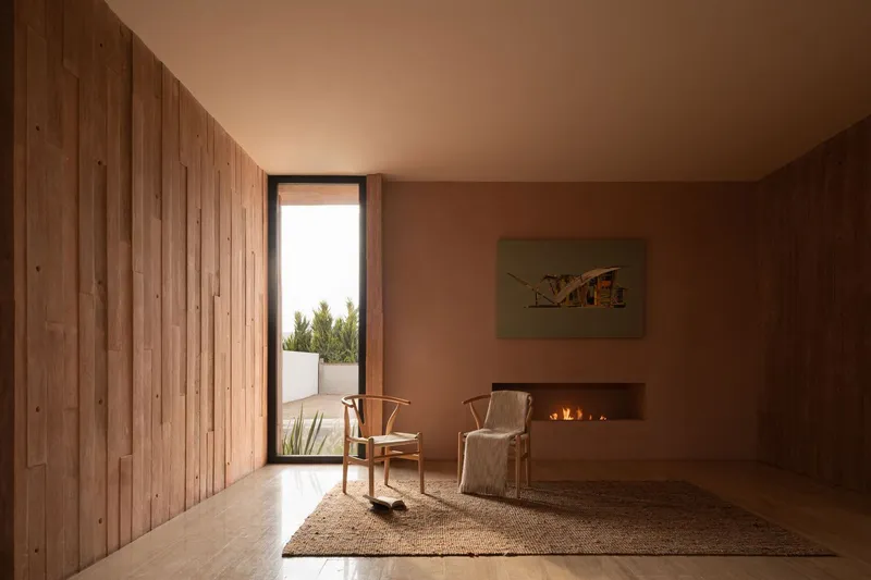 Living room with vertical timber wall, recessed fireplace and glazed door opening to a planted terrace