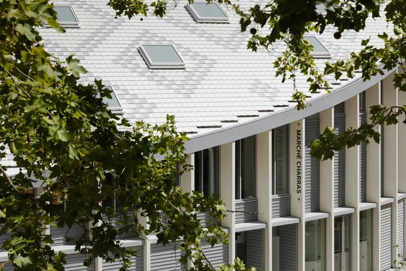 White shingled roof with skylights framed by green tree branches in summer light