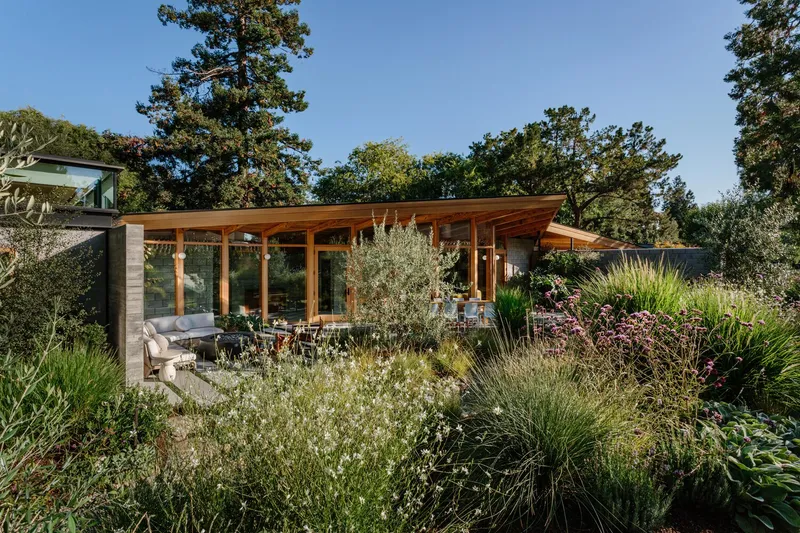 Low-pitched timber roof over a glazed pavilion surrounded by wildflower meadow planting and trees