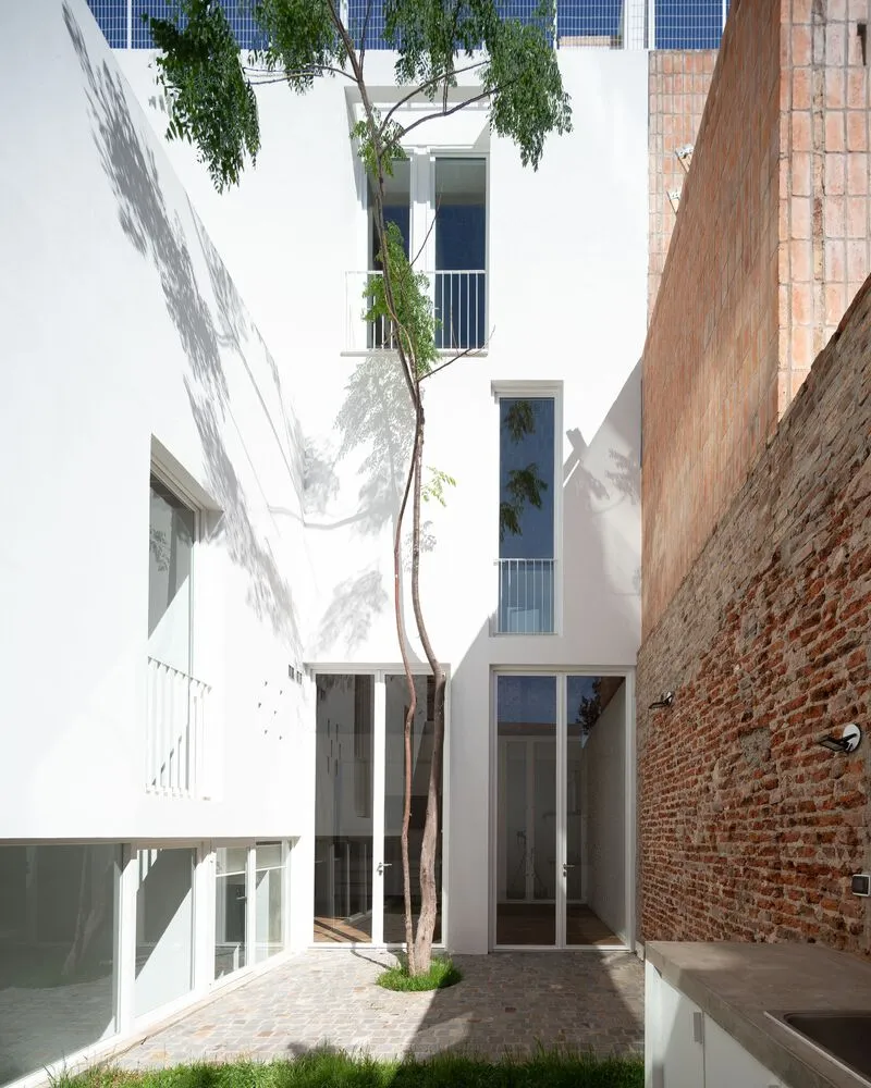 Courtyard view of white rendered volumes and exposed brick walls with a slender tree casting shadows