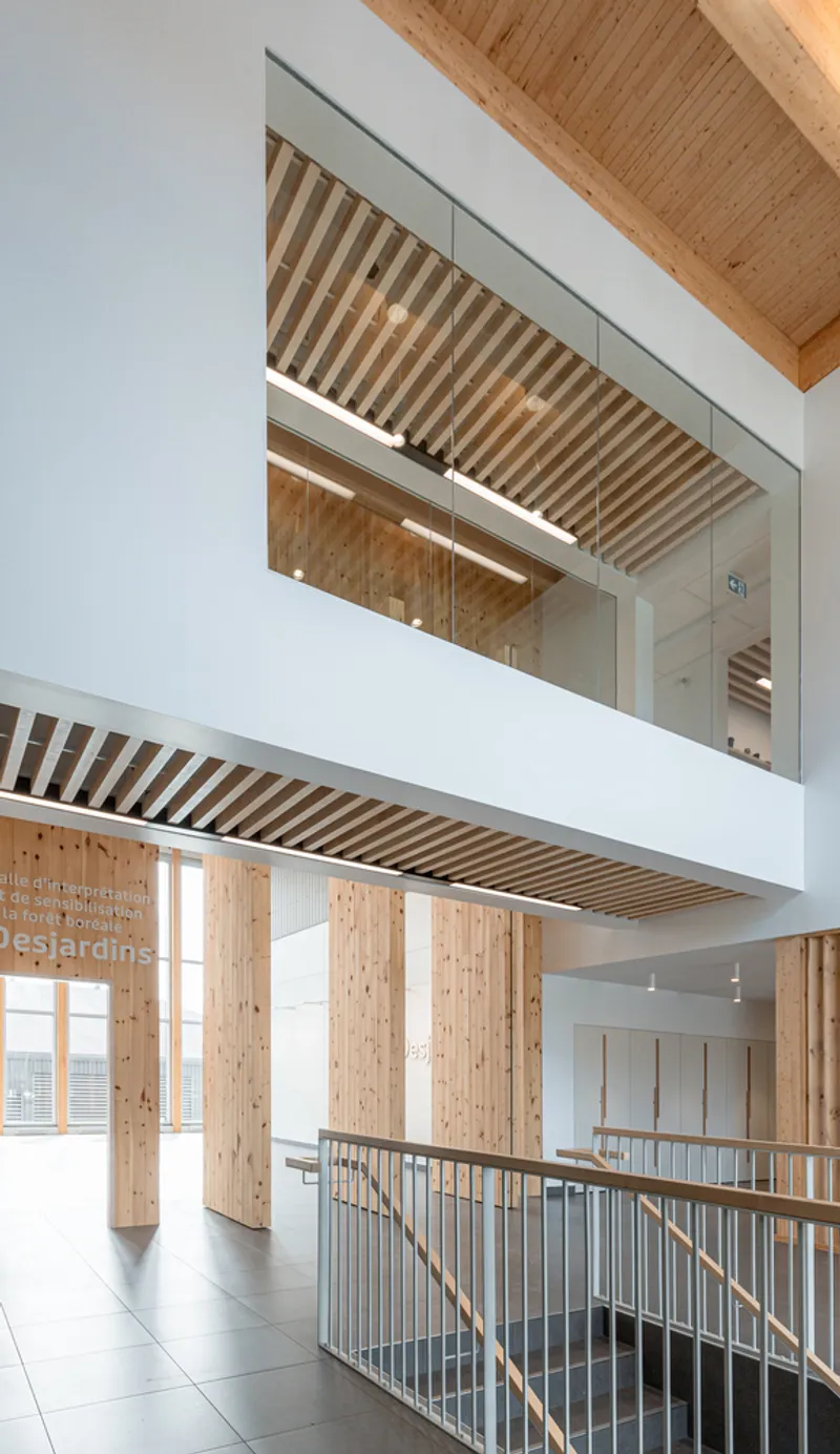 Two-story atrium with timber-clad walls, glass balustrade and slatted wood ceiling above metal railing