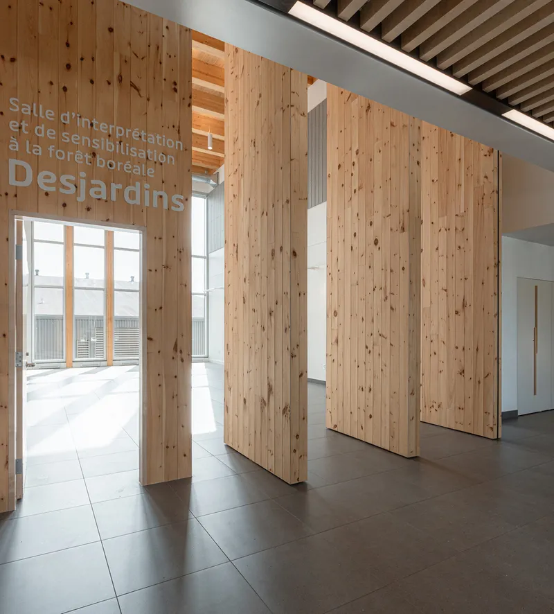 Interior lobby with freestanding knotty pine partition walls beneath exposed timber ceiling joists and linear skylights