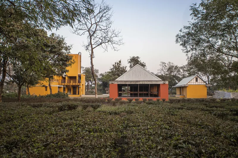 Campus view of three separate pavilions with metal roofs arranged across a planted tea field