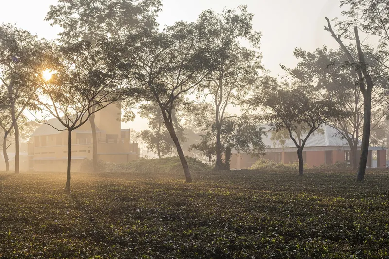 Distant view of the complex through scattered trees in morning mist and low sunlight