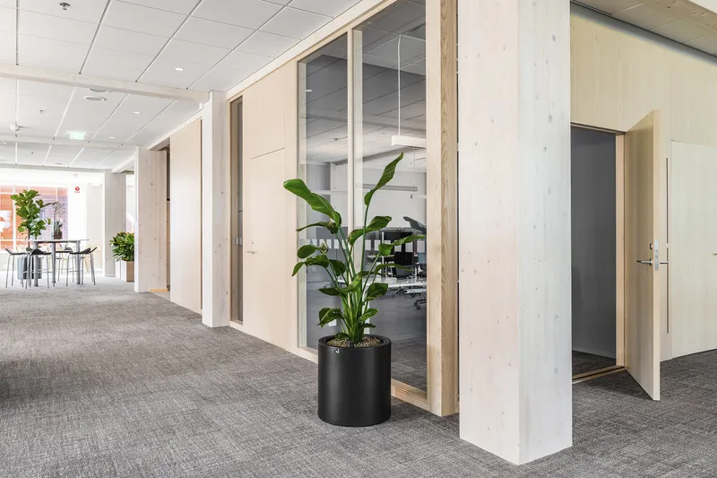 Corridor with glazed partition walls framed in light timber and a potted plant in a black cylinder planter