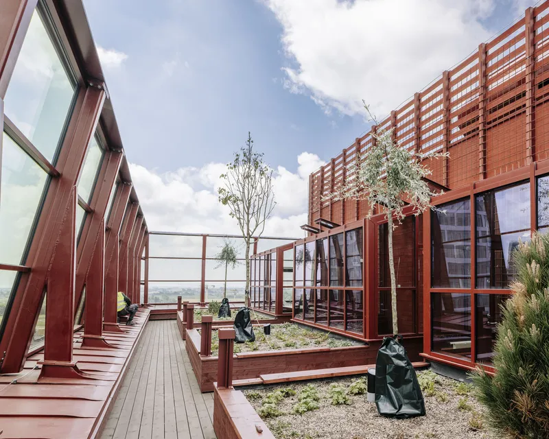 Rooftop terrace with red steel railing, timber decking, planted beds and small trees under partly cloudy sky