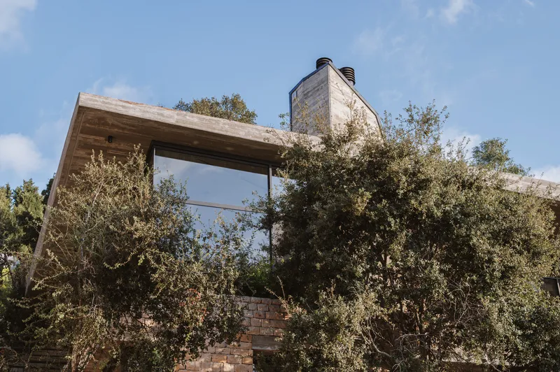 Cantilevered timber roof volume with concrete chimney emerging above dense vegetation