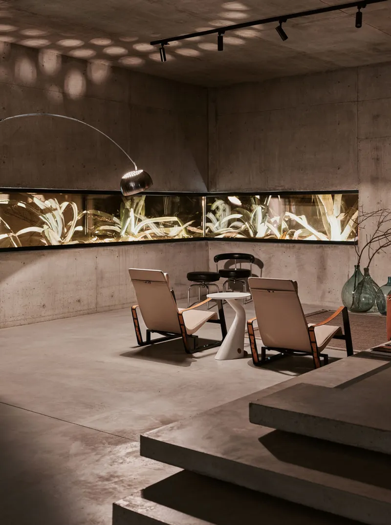 Concrete steps descending into a lounge area with illuminated horizontal planting window above