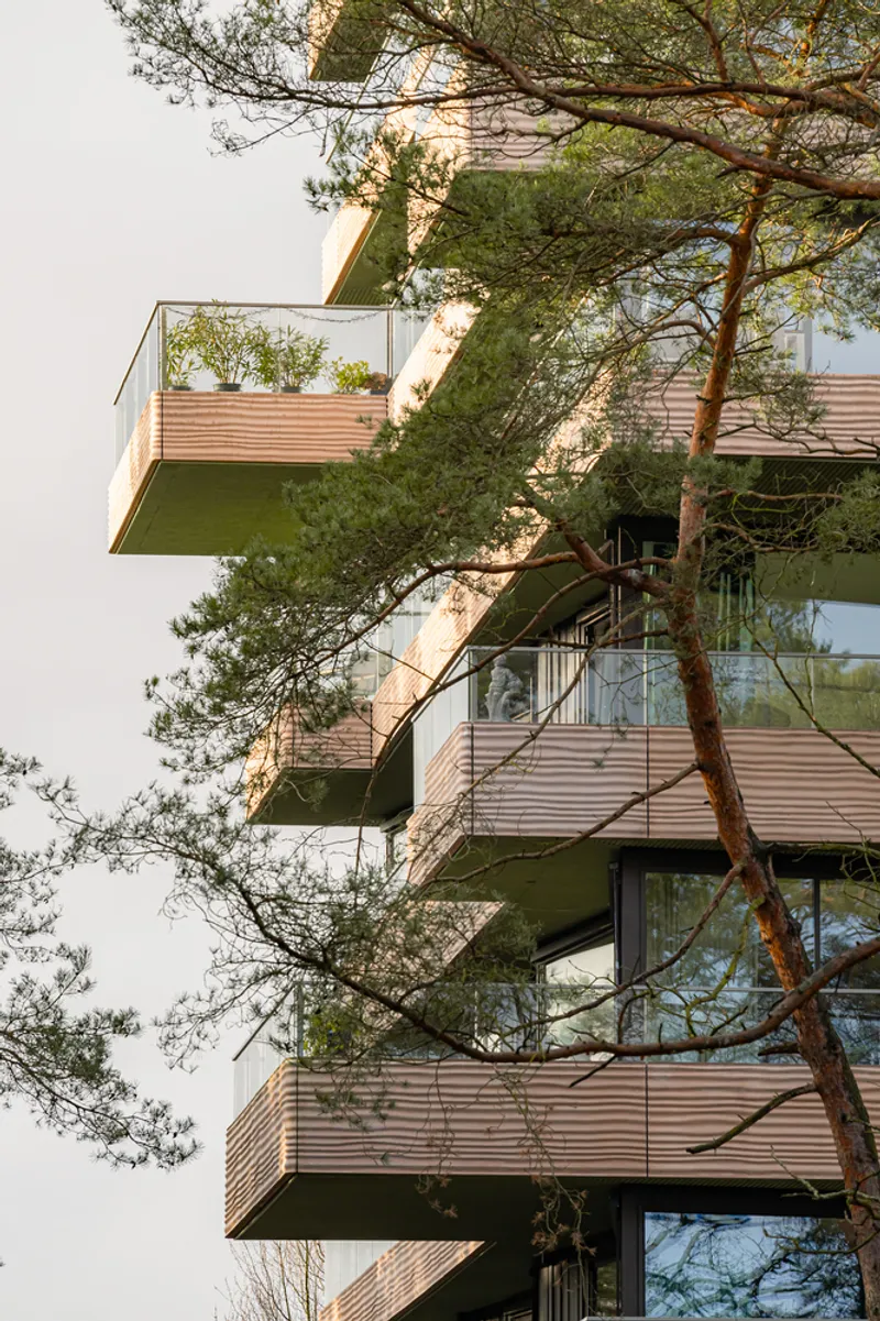 Upward view of cantilevered balconies with timber screens threading through pine branches at dusk