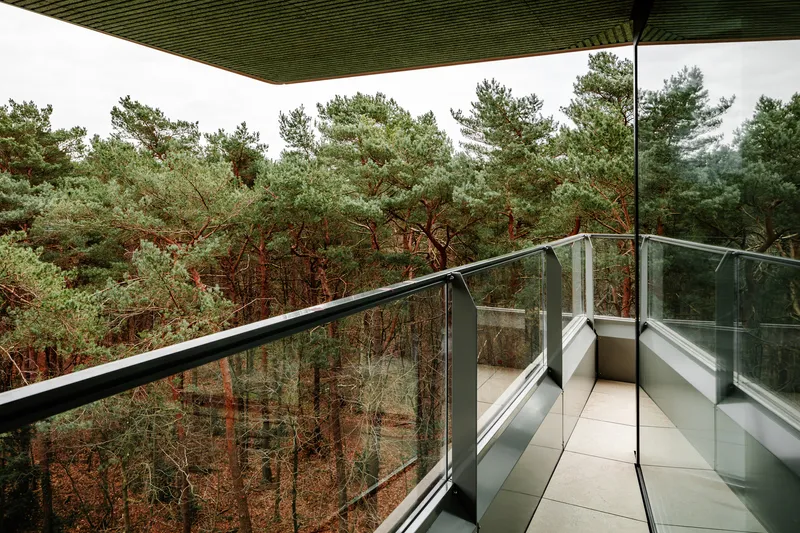 Glass-railed balcony with corrugated green soffit extending into pine forest in mist