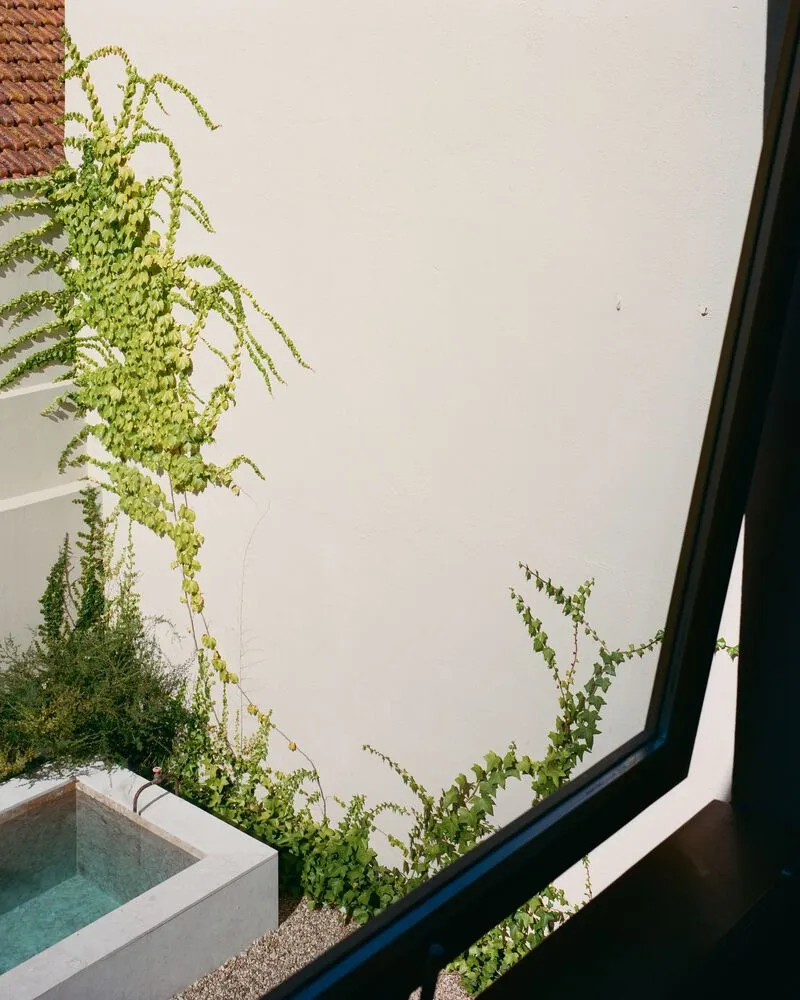 Courtyard view with climbing vines against a white stucco wall and small plunge pool in gravel bed