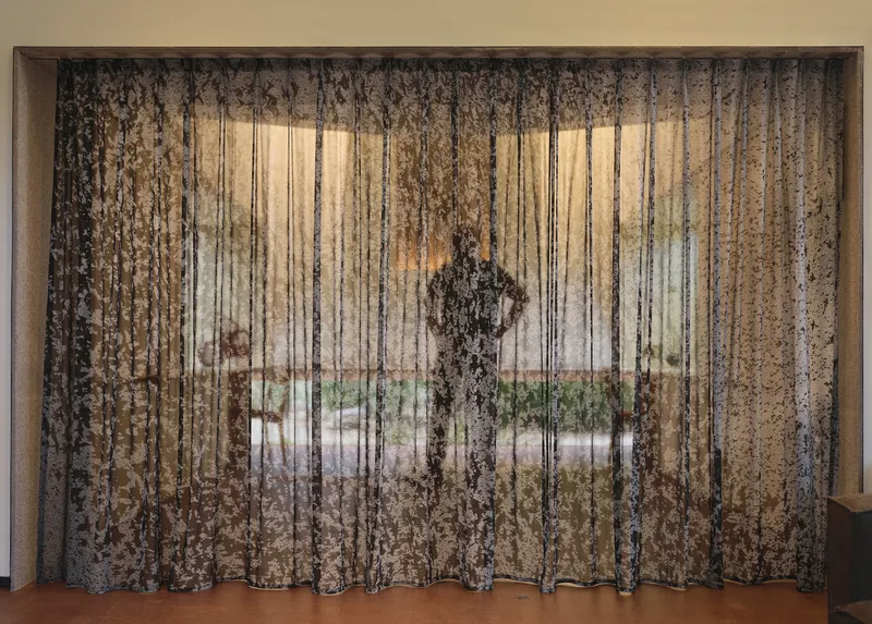 Full-height lace curtain filtering daylight into a room with glimpses of furniture and greenery beyond