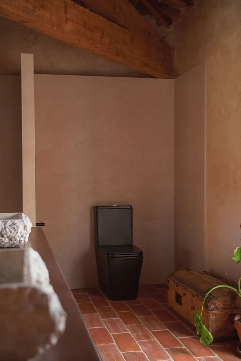 Bathroom corner with black toilet on terracotta tile floor beneath exposed timber roof beams