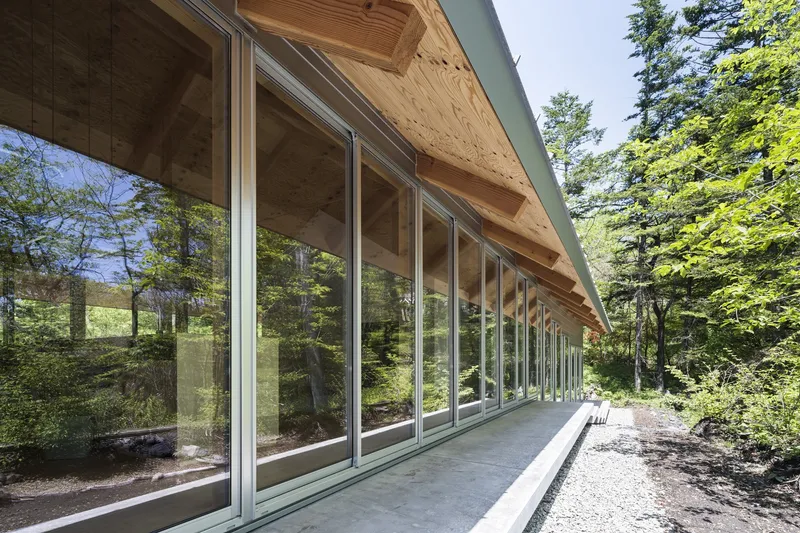 Long glazed facade with exposed timber rafters and concrete walkway in dappled forest light