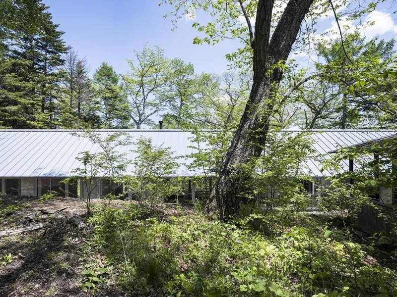 Long metal roofline sheltered by mature deciduous trees in a wooded landscape