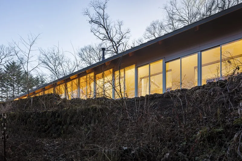 Glazed facade illuminated at dusk from a steep embankment with bare winter trees