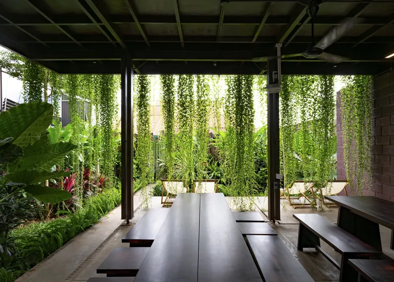 Long timber dining table with built-in benches facing a wall of cascading vines in bright midday light