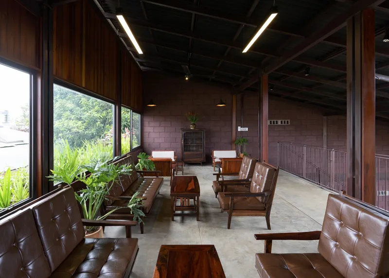 Upper level lounge with leather seating, timber screens, exposed ceiling structure, and potted plants by the windows