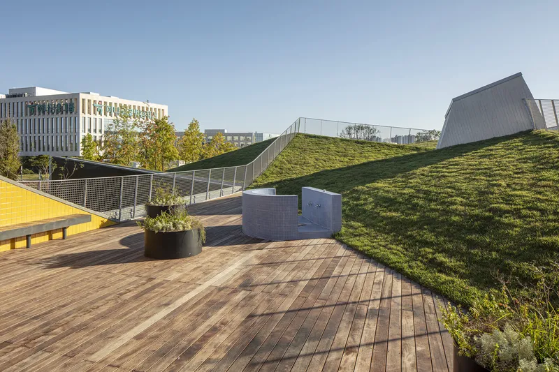 Timber deck terrace with planted beds and mesh railing leading up the planted roof slope