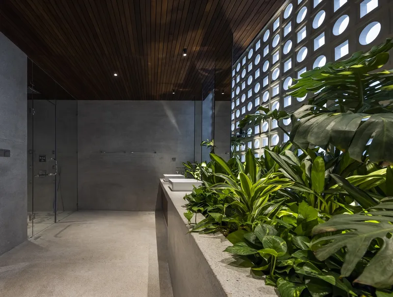 Planted bed with tropical foliage beneath a perforated screen wall and timber slatted ceiling