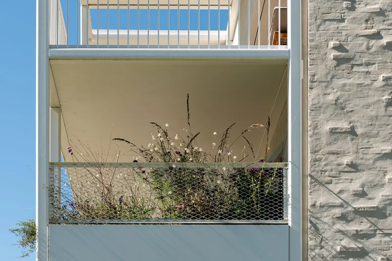 Close-up of a balcony with wire mesh infill and grasses growing through the railing
